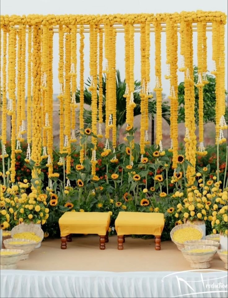indoor plants for haldi ceremony decoration